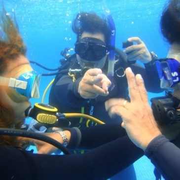 Curso básico de buceo