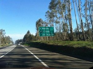 algarrobo_08