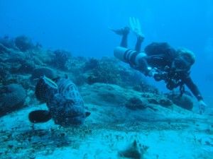 Sidemount Diving